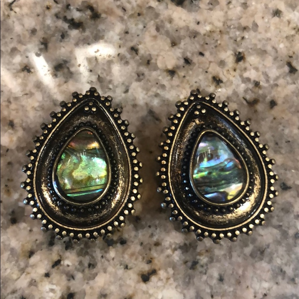 3/4 Abalone Plugs
